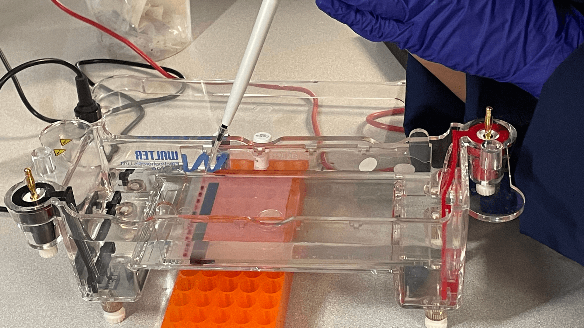 Molecular Biology Course